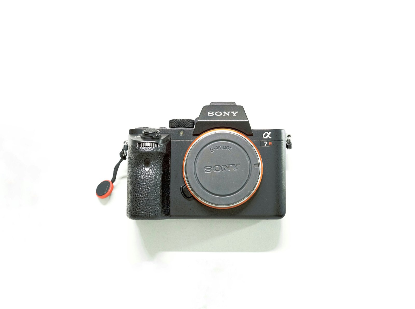 Top 3 Mirrorless Cameras for Professional Travel Photography