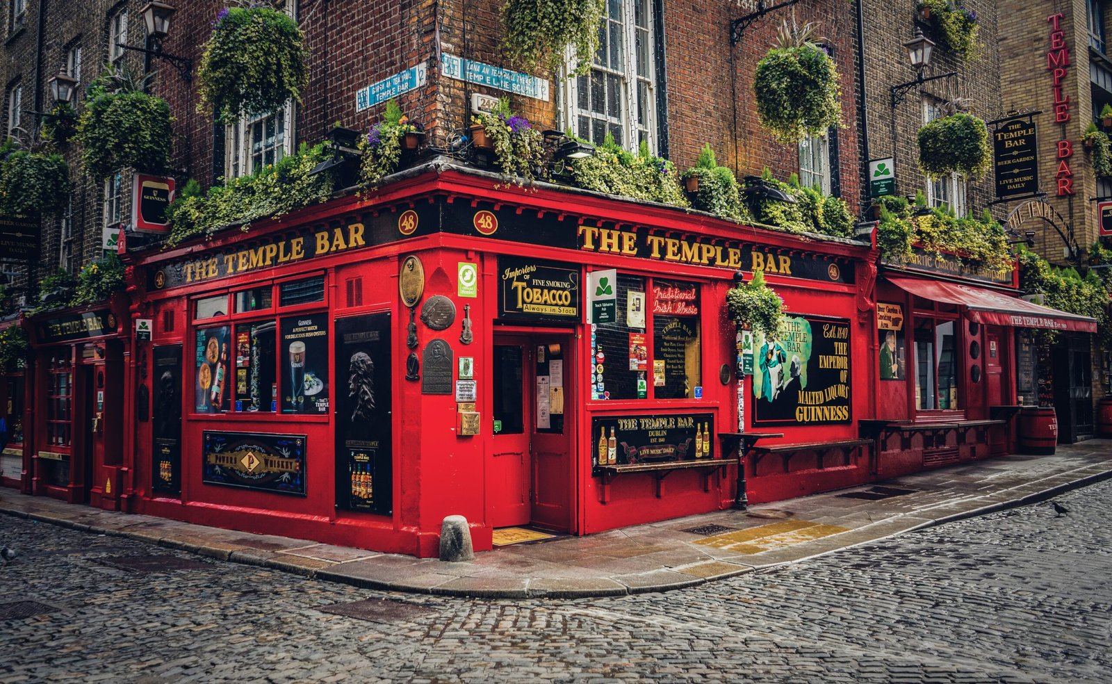 A Local’s Guide to the Best Pubs in Dublin: Discovering Authentic Pub Culture