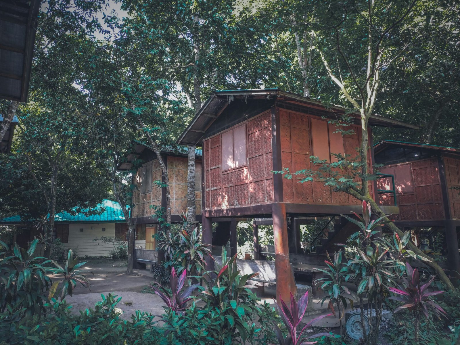 Eco-Travel in Oceania: How to Explore Responsibly