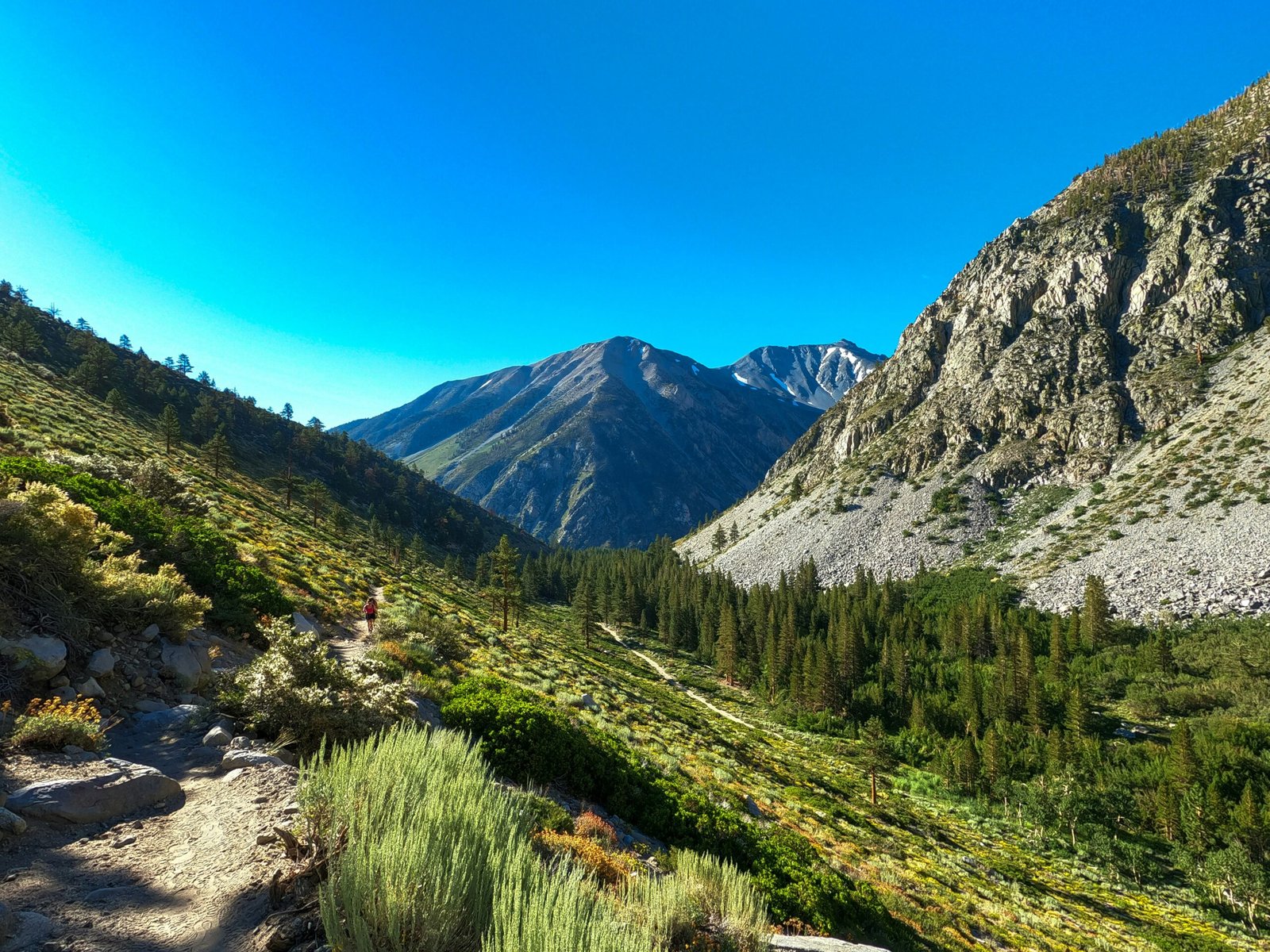 Wild Nature: The Best National Parks in New Zealand