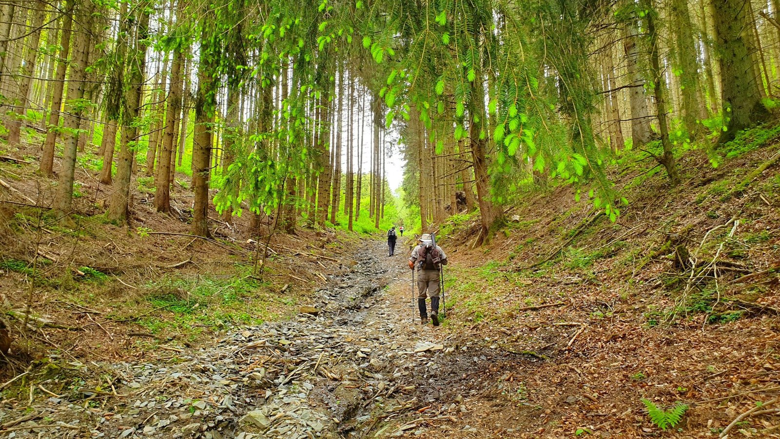 Exploring Luxembourg’s Mullerthal Region: The Little Switzerland of Europe