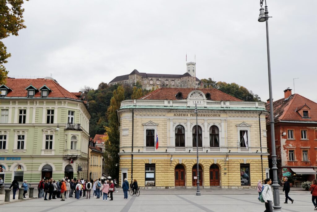 Pexels Alankrantas 34979264 1024x683